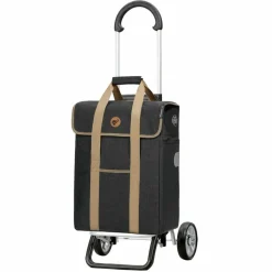 Andersen Shopper Scala Shopper Plus Ipek Ma Einkaufstrolley 48 cm