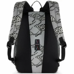 Chiemsee Jump N Fly Daypack 43 cm Laptopfach