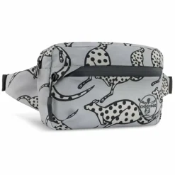 Best Chiemsee Jump N Fly Gürteltasche 22 cm grau