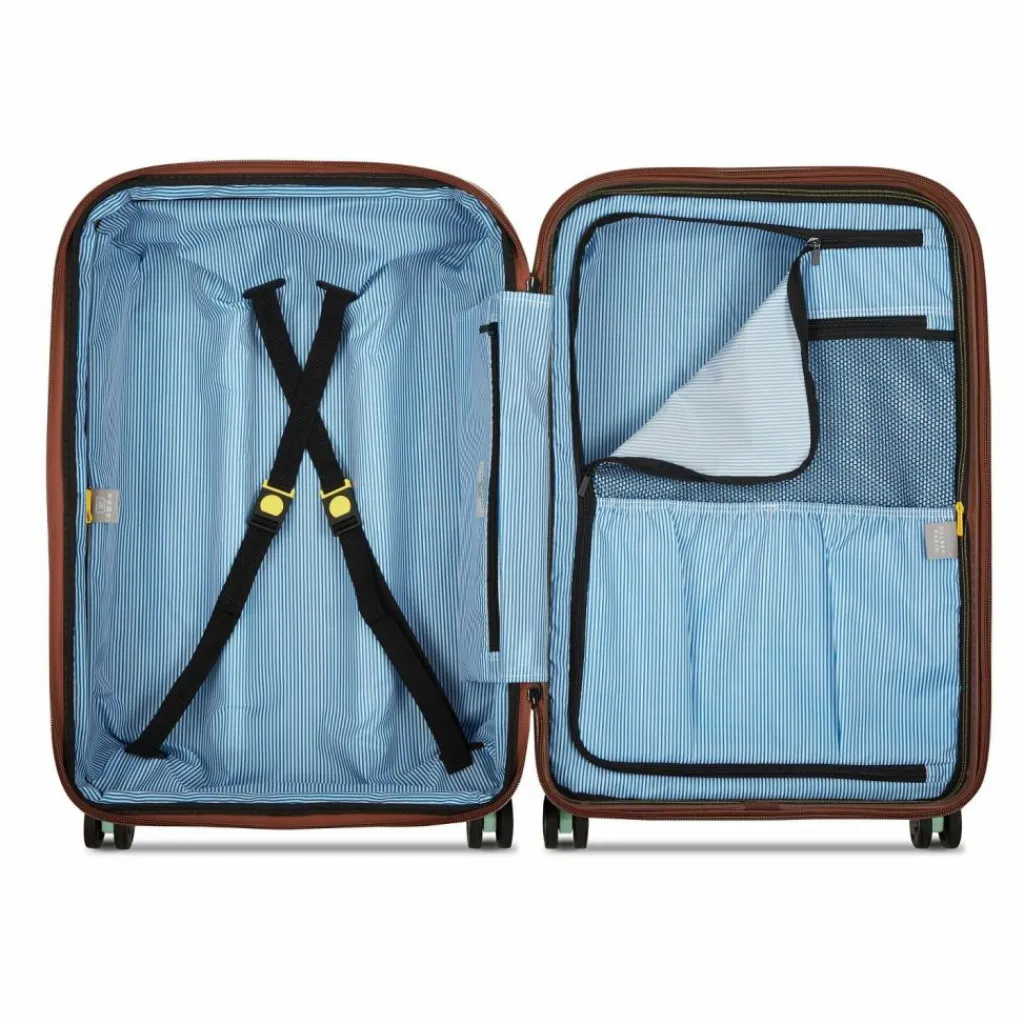 Clearance Delsey Paris Carrousel 2 4 Rollen Trolley 68 cm mit Dehnfalte sage green