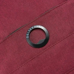 Outlet Delsey Paris Element Daypack 44 cm Laptopfach rot