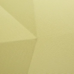 Delsey Paris Karat 2.0 4 Rollen Trolley 76 cm