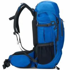 Online Delsey Paris Nomade L Rucksack 59 cm Laptopfach blau