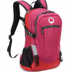 Delsey Paris Nomade S Rucksack 42 cm Laptopfach paonie