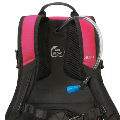 Delsey Paris Nomade S Rucksack 42 cm Laptopfach paonie