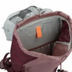 Deuter AC Lite 22 SL Wanderrucksack 30 cm ashrose-cassis