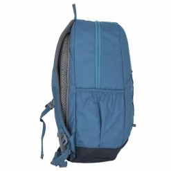 Deuter Gogo Daypack 46 cm atlantic-ink