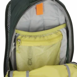 Deuter Daypacks<Race 8 Daypack 43 cm sprout-ivy