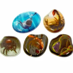 Best Ergobag Kletties Set 5tlg. Urzeit