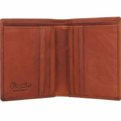 Esquire Herrengeldbörsen Hochformat<Dallas Geldbörse RFID Leder 9,5 cm braun