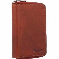 Esquire Damengeldbörsen Hochformat<Oslo Dallas Geldbörse RFID Leder 8 cm braun
