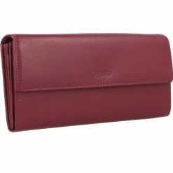 Damen Esquire Viktoria Geldbörse RFID Leder 18,5 cm