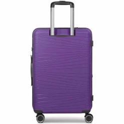 Franky Dallas 3.0 4 Rollen Trolley M 65 cm mit Dehnfalte