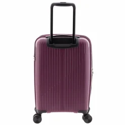 Gladiator 5000 4 Rollen Kabinentrolley 55 cm mit Dehnfalte