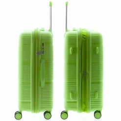 Gladiator 0800 4 Rollen Trolley 65 cm mit Dehnfalte green