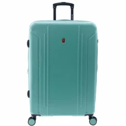 Clearance Gladiator 2900 4 Rollen Trolley L 77 cm mit Dehnfalte green