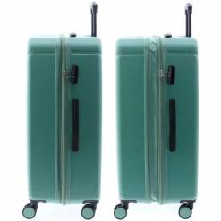 Clearance Gladiator 2900 4 Rollen Trolley L 77 cm mit Dehnfalte green