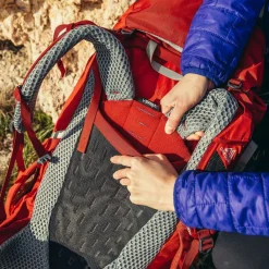 Clearance Gregory Amber 34 Trekkingrucksack 64 cm lichen green