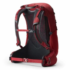 Gregory Wanderrucksäcke<Jade LT 20 Wanderrucksack 53 cm ruby red