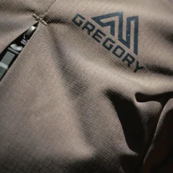 Gregory Daypacks<Retna 25 Daypack 52 cm Laptopfach pool party