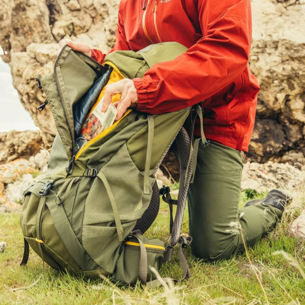 Clearance Gregory Stout 70 Trekkingrucksack 80 cm forest black