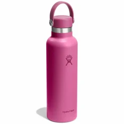 Online Hydro Flask Hydration Standard Flex Cap Trinkflasche 621 ml reef
