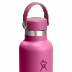 Online Hydro Flask Hydration Standard Flex Cap Trinkflasche 621 ml reef