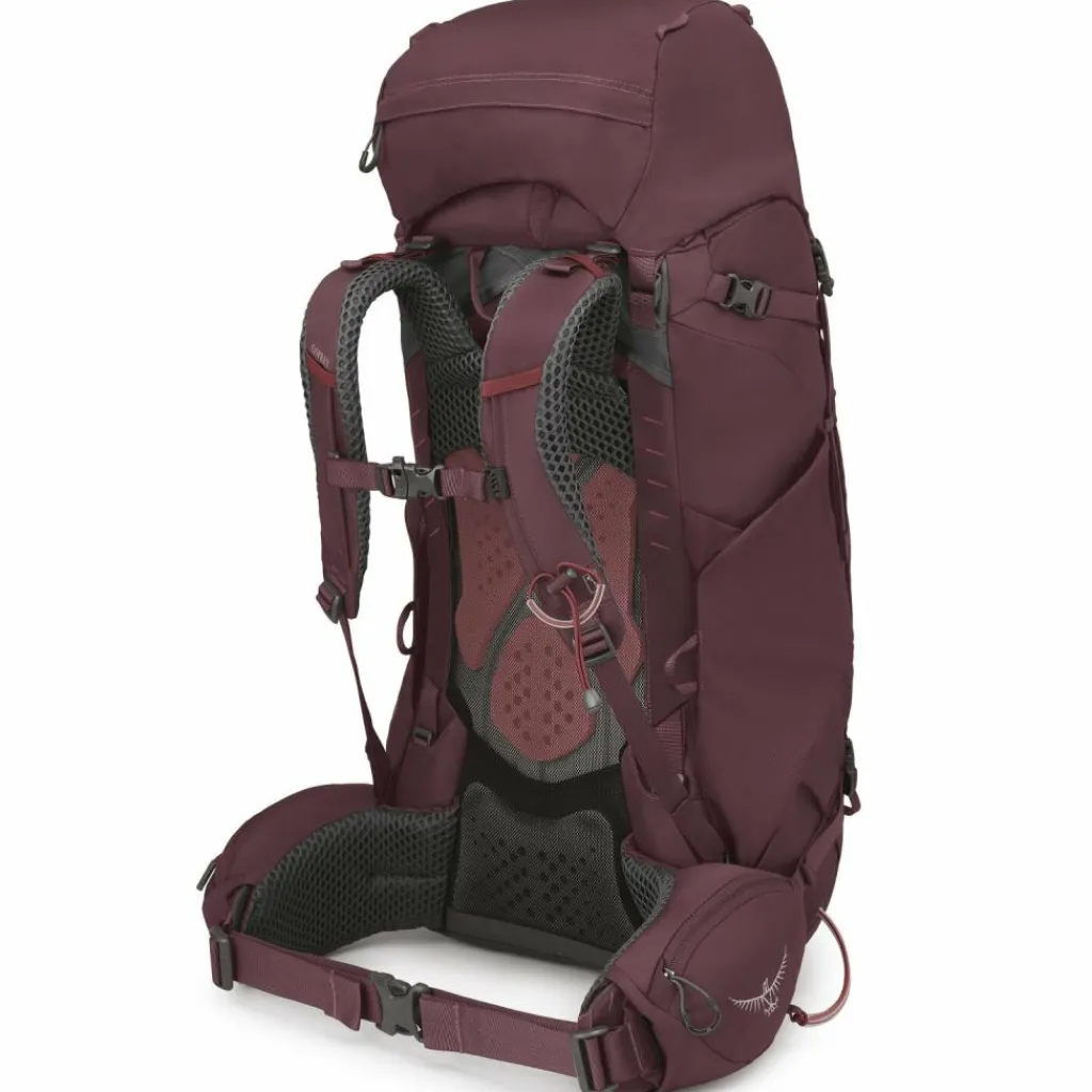 Osprey Wanderrucksäcke<Kyte 58 Wanderrucksack WM-L 75 cm elderberry purple