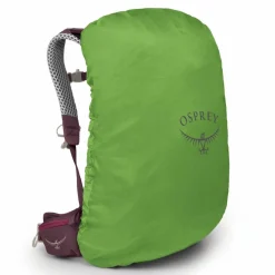 Osprey Wanderrucksäcke<Sirrus 24 Rucksack w 49 cm elderberry purple-chiru tan