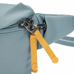 Pacsafe Go Gürteltasche RFID Schutz 27 cm