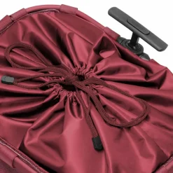 Sale reisenthel Carrycruiser Einkaufstrolley 47,5 cm twist maroon