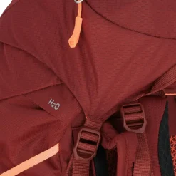 Salewa Trekkingrucksäcke<Alp Trainer 30L Rucksack 65 cm syrah