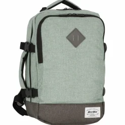 Worldpack Daypacks<Cabin Pro Daypack 40 cm Laptopfach graugrün